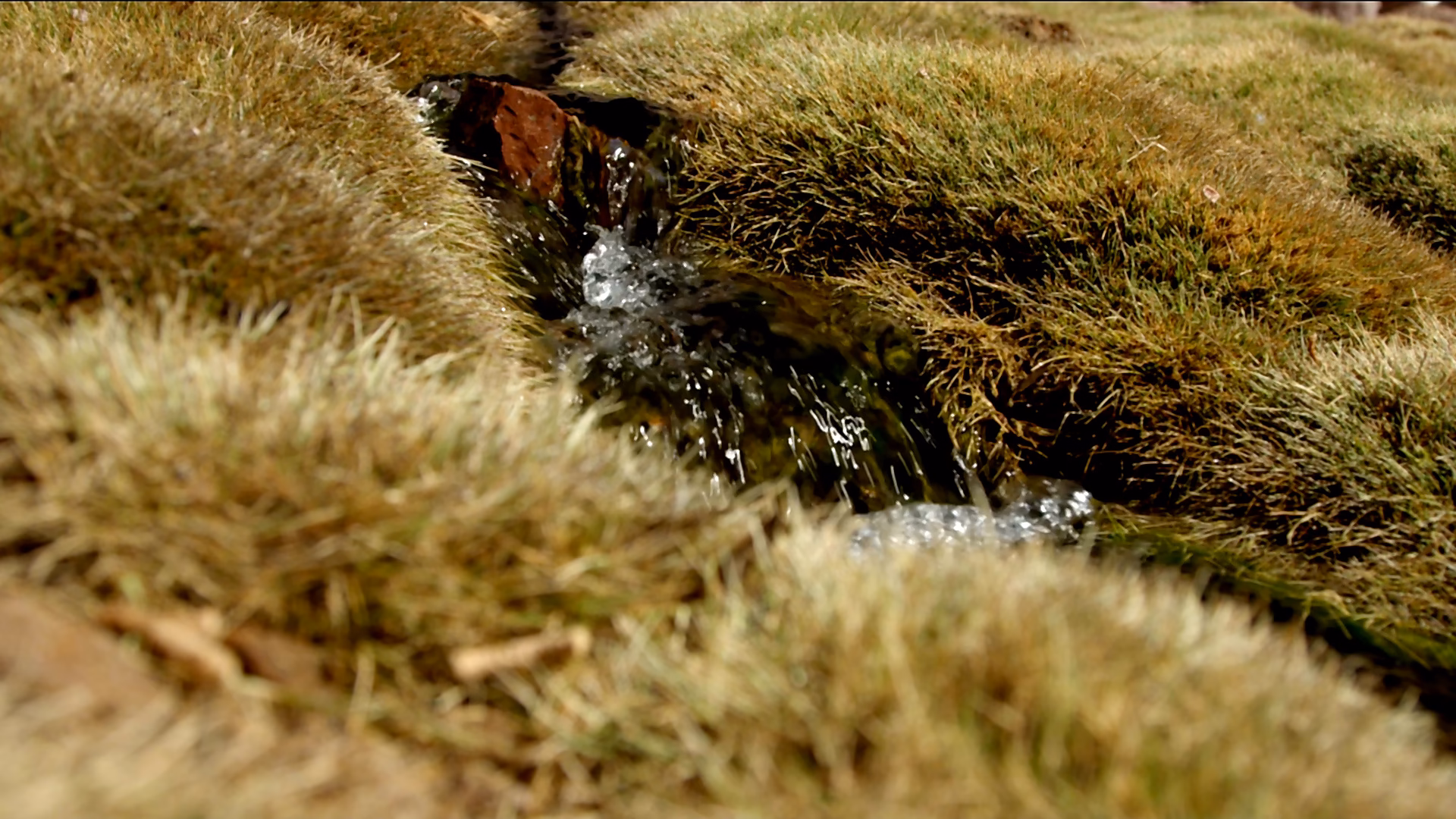 Escena de agua en la serie documental La vida del agua